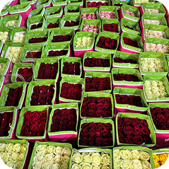 packing flower